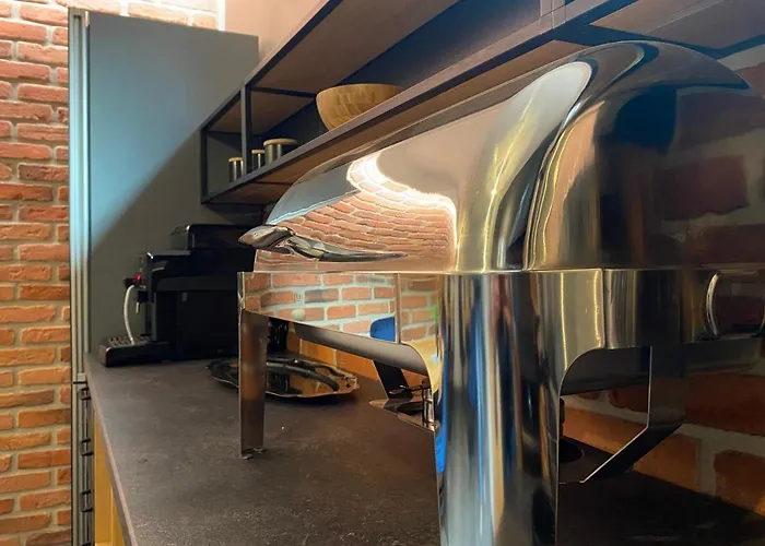 Manca Loft & 公寓 梅彻林基