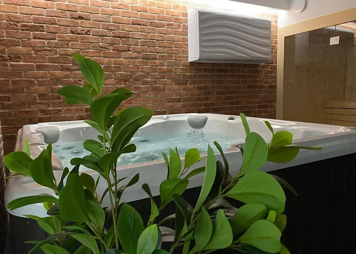 公寓 Manca Loft & 梅彻林基